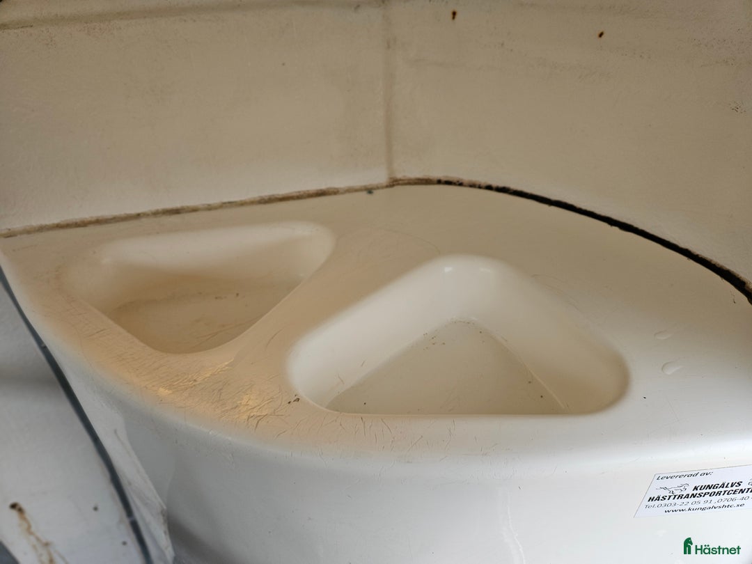 Hästtransporter  fordon & transport till salu: Värmlandsvagnen International  i Veddige - Annons 6