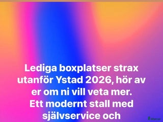 stallplats Boxplatser strax utanför Ystad i Ystad - Annons 1