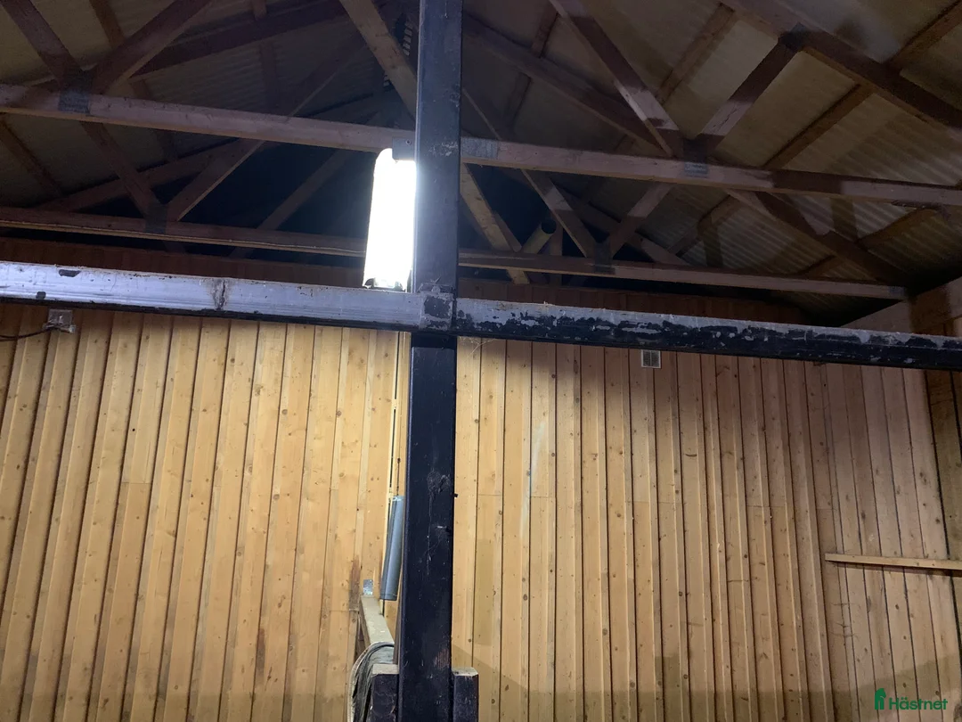 Stallinredning, stängsel & gård övrig utrustning till salu: Box fronter  i Vänersnäs - Annons 5