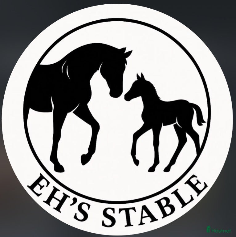  stallplats Helinackodering/utbildning/inridning  - Annons 2