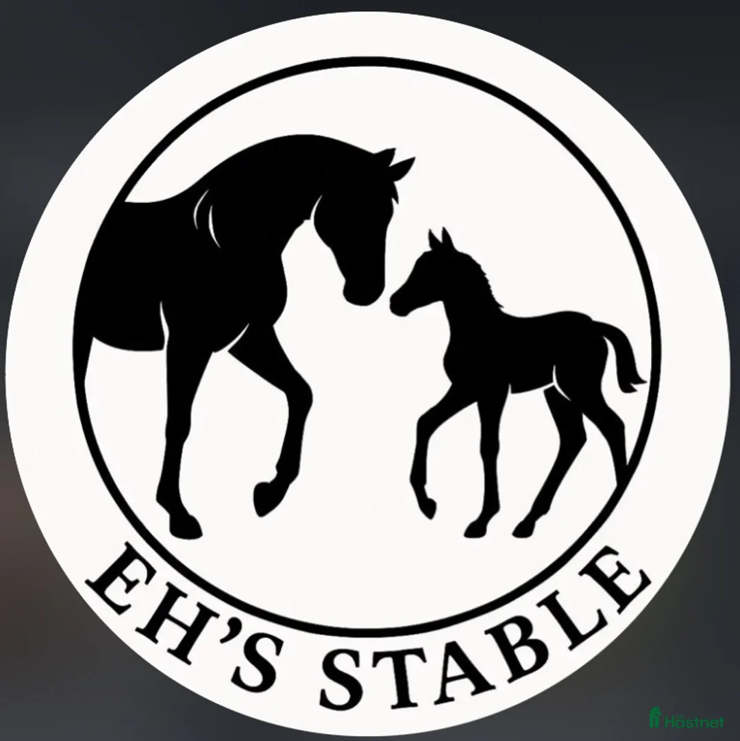  stallplats finnes: Helinackodering/utbildning/inridning  - Annons 1