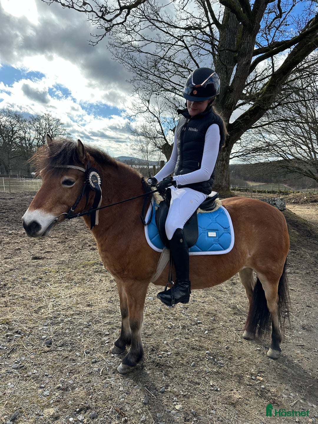 Schabrak & Vojlockar hästutrustning till salu: Fint ES schabrak💙 i Kinna - Annons 12