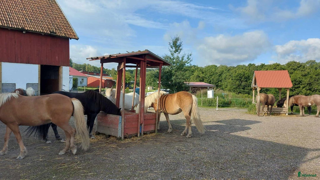 Galleribild {{count}}