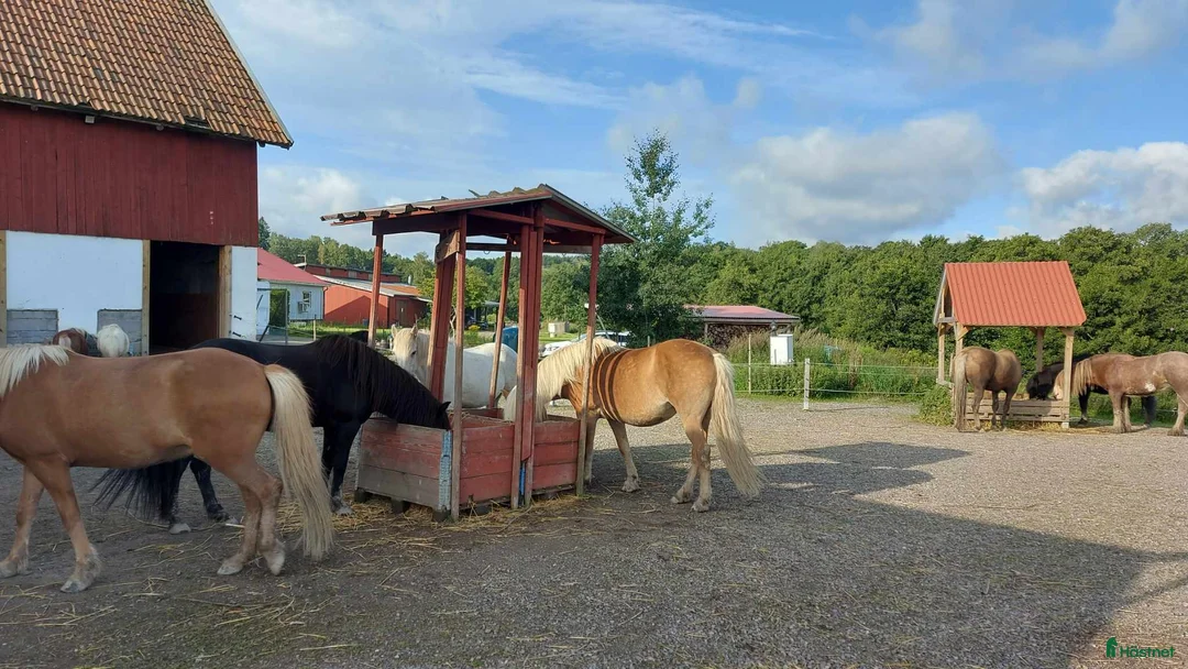 Galleribild {{count}}