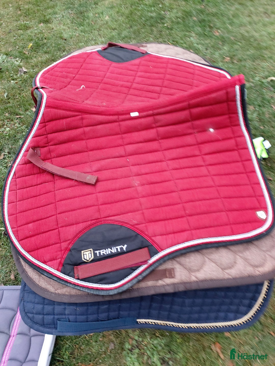 Schabrak & Vojlockar hästutrustning till salu: Chabrak o  vojlock i Visingsö - Annons 2