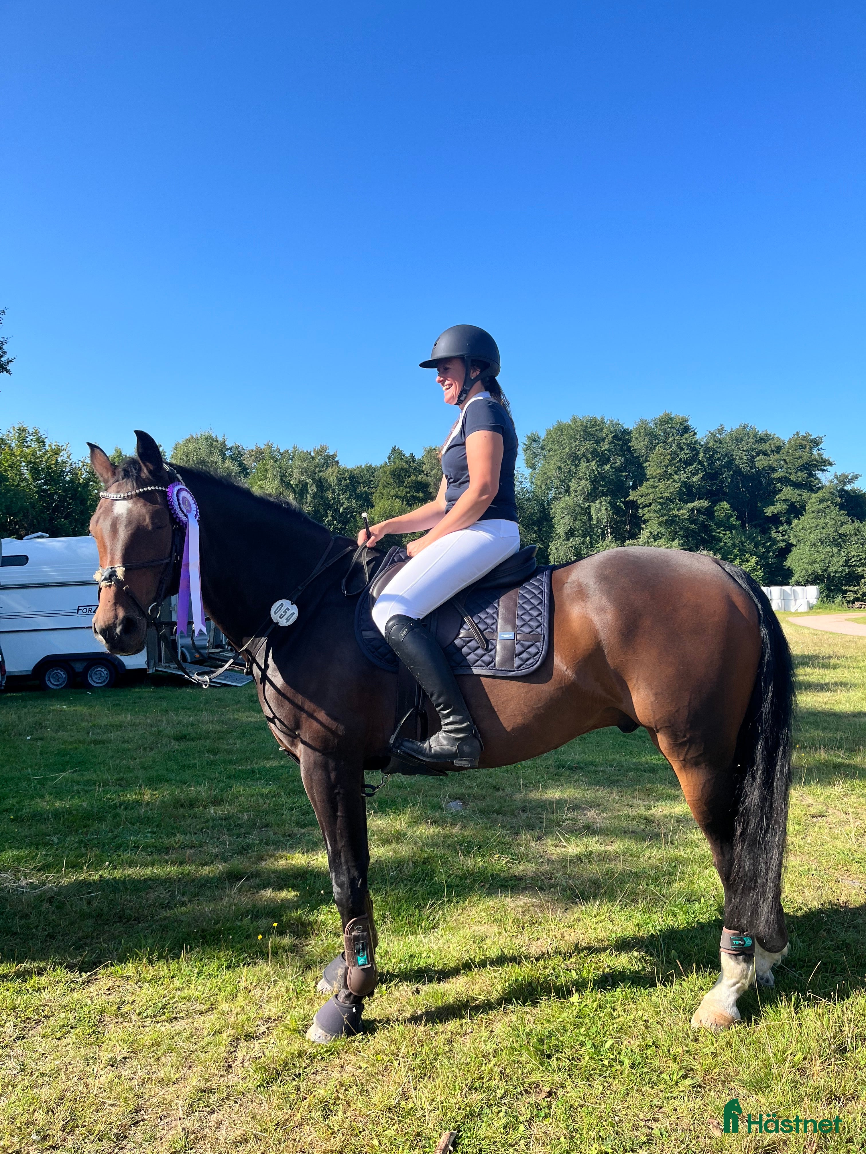  hästar Lyxig läromästare i Höör - Annons 11