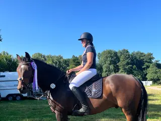 hästar Lyxig läromästare i Höör - Annons 11