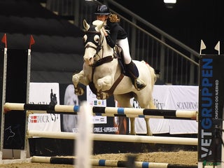 Hoppning hästar till salu: Versatile Show Jumping Pony – Proven Across Europe - Annons 1