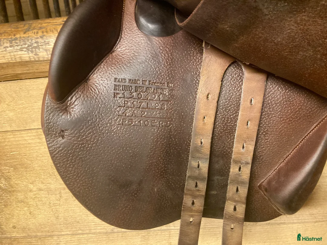 Sadlar hästutrustning till salu: Fin Bruno Delgrange! - Annons 8