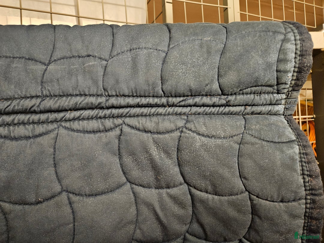 Schabrak & Vojlockar hästutrustning till salu: Flera schabrak säljes, olika märken i Lerum - Annons 9