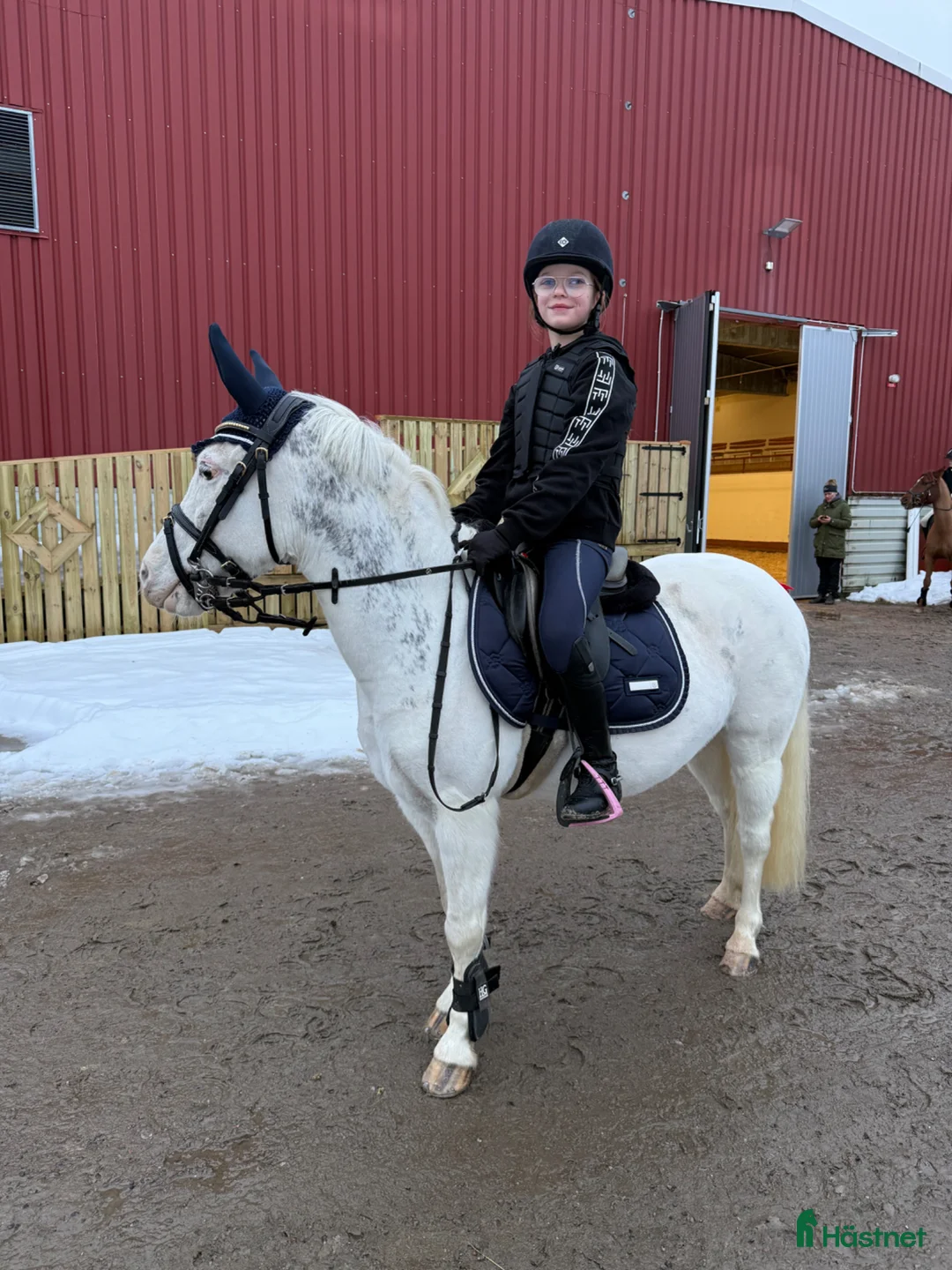 Allround hästar till salu: Häftig allroundponny, även inkörd! - Annons 1