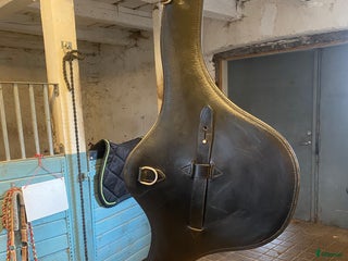 Sadeltillbehör hästutrustning till salu: Magplatta sadelgjord i Vinninga - Annons 2