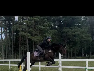 hästar 🌟 Vackert sto med potential Vanessa streamline🌟 - Annons 8