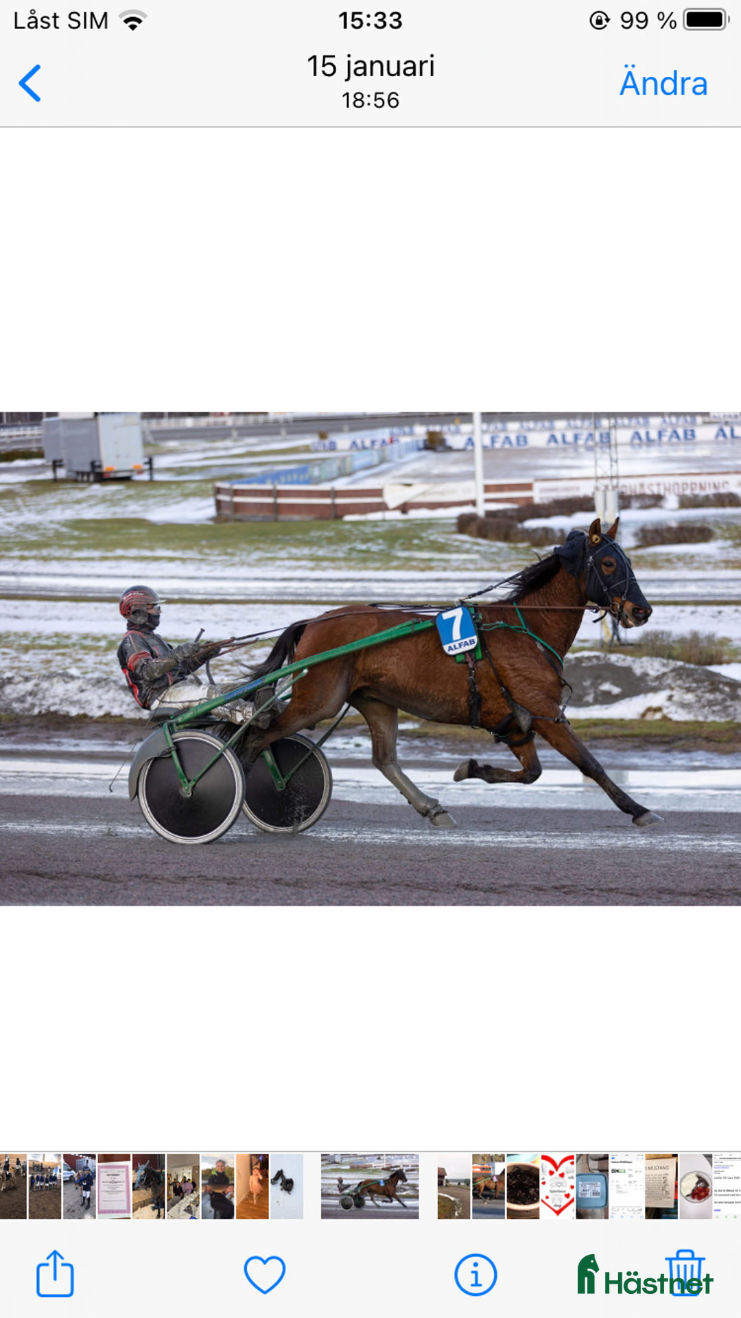 Allround hästar till salu: Distans? i Malmköping - Annons 2