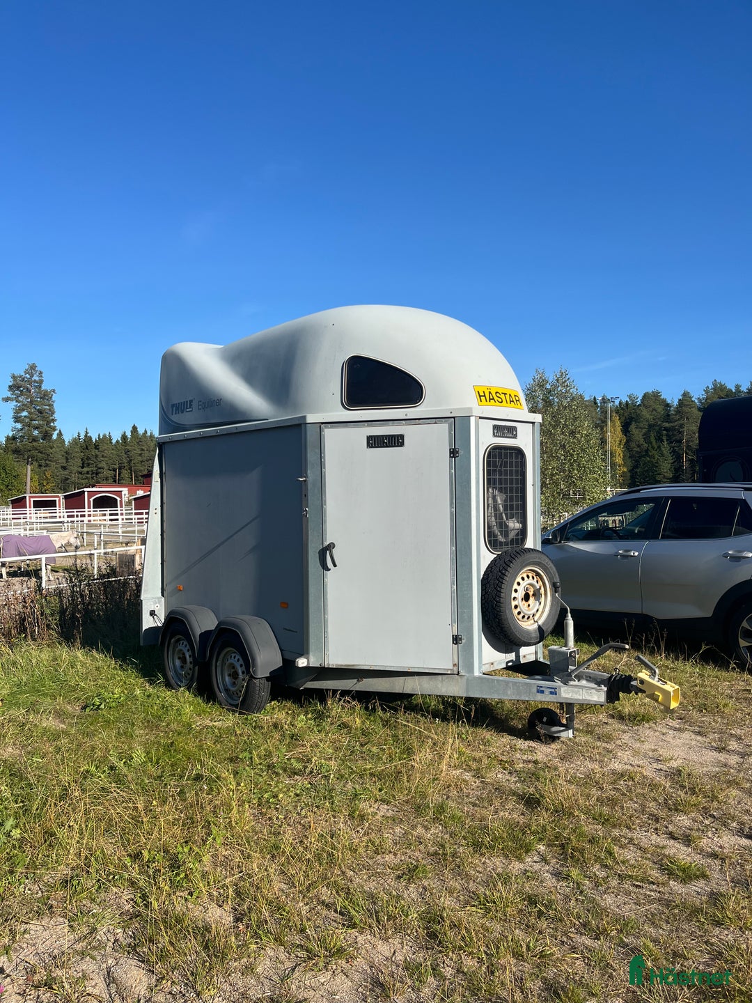 Hästtransporter  fordon & transport till salu: Hästtransport  i Piteå - Annons 1