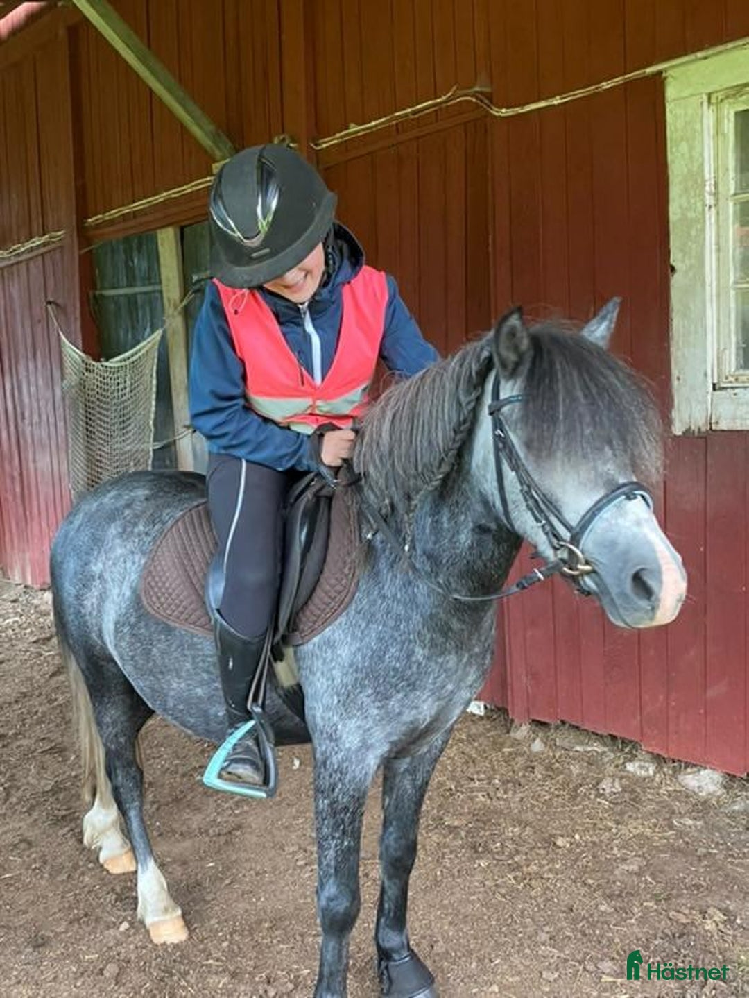 Allround hästar till salu: Trevlig Welsponny  i Vingåker - Annons 4