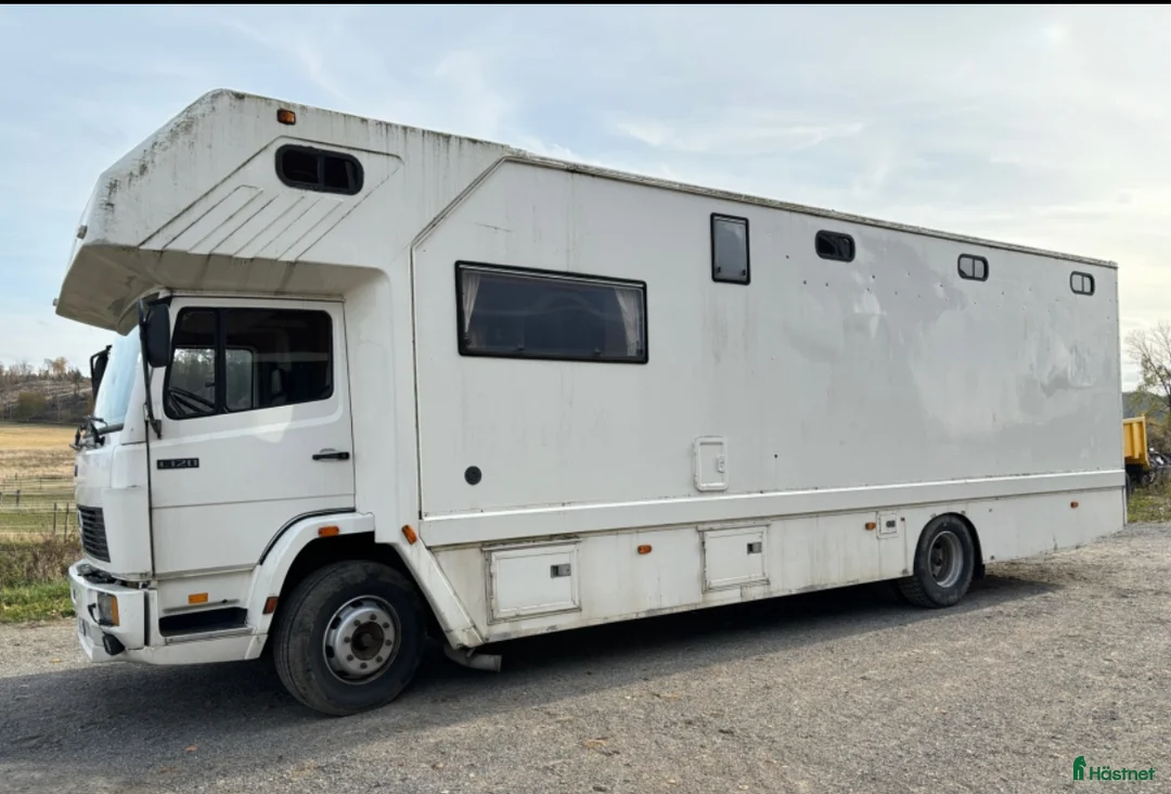 Hästlastbilar  fordon & transport till salu: Hästlastbil C-kort - Annons 2