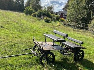 Körvagnar körning till salu: Unik Parvagn 4-sitsig i Skövde - Annons 20