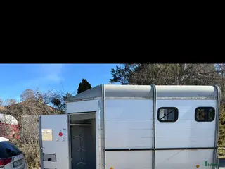 Hästtransporter fordon & transport till salu: Böckmann 3 hästars - Annons 2