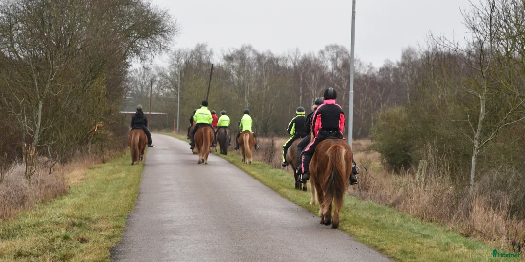 Galleribild {{count}}