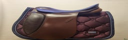 Sadlar hästutrustning till salu: Passier Lenox i Helsingborg - Annons 1