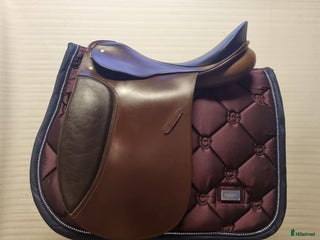 Sadlar hästutrustning till salu: Passier Lenox i Helsingborg - Annons 17