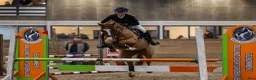Allround hästar till salu: Super allround pony til salg - Annons 7