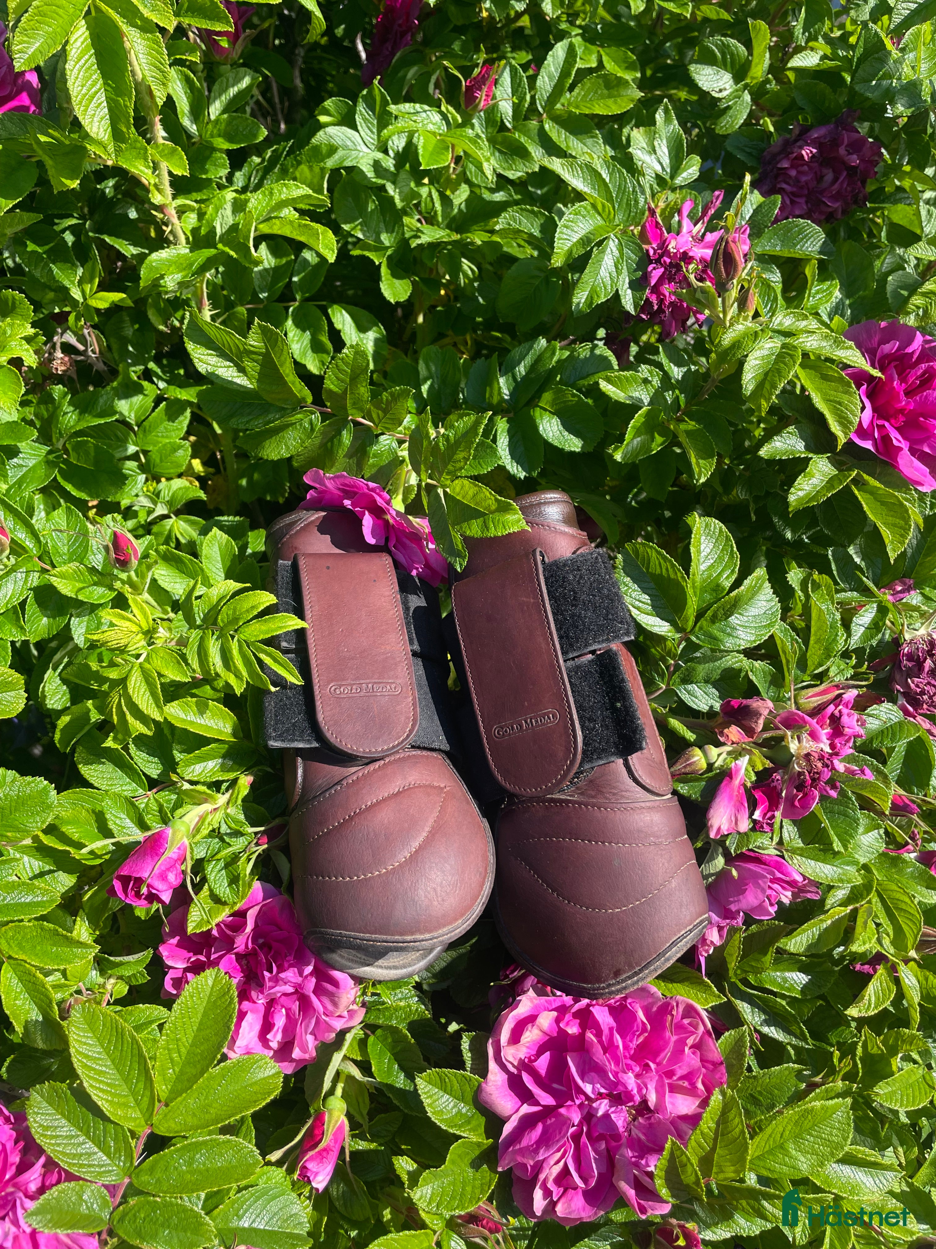 Benskydd hästutrustning till salu: Benskydd i Östersund - Annons 3