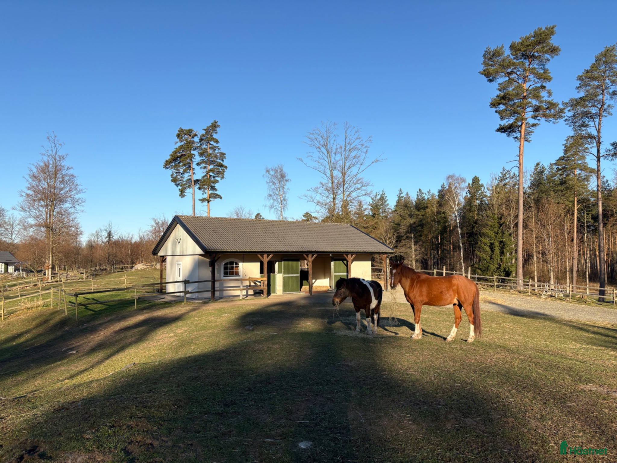  stallplats Plats i lösdrift  - Annons 3