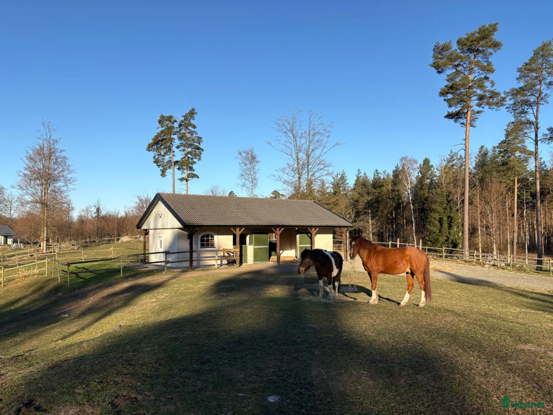  stallplats finnes: Plats i lösdrift  - Annons 1