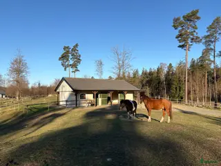 stallplats Plats i lösdrift - Annons 3