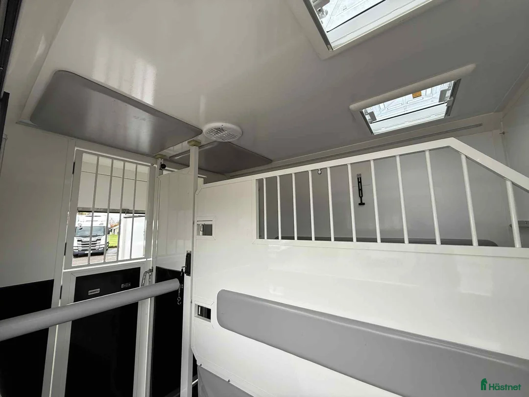 Hästlastbilar  fordon & transport till salu: NORDIC HORSE 5 STUTERI *HÖG LASTVIKT* - Annons 9