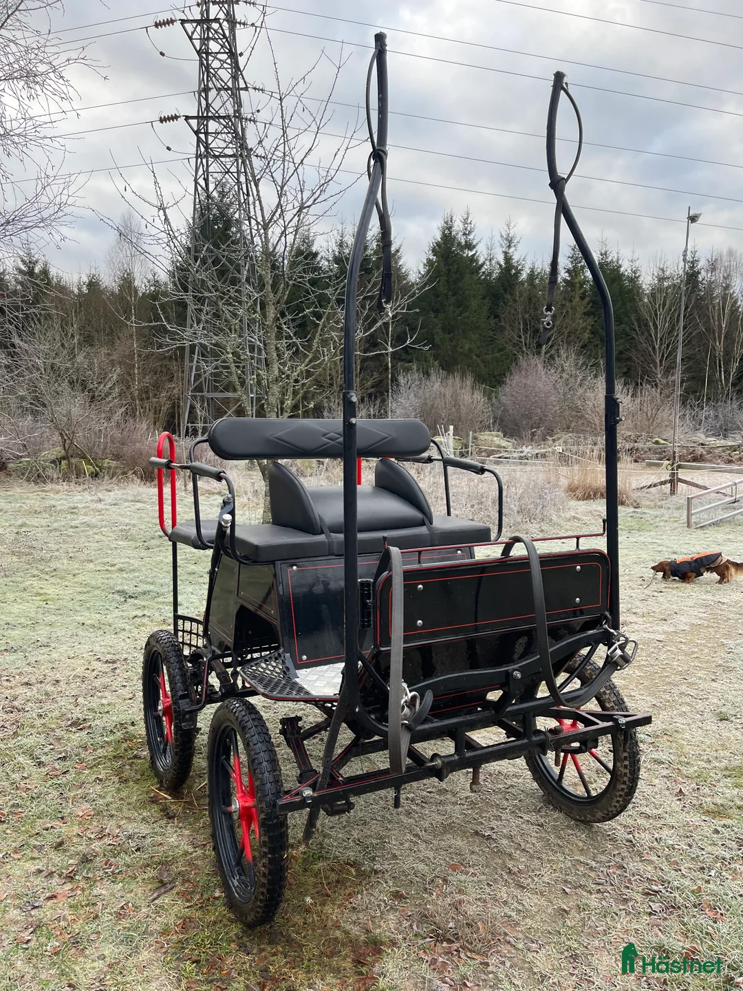 Körvagnar körning till salu: Vagn  - Annons 1