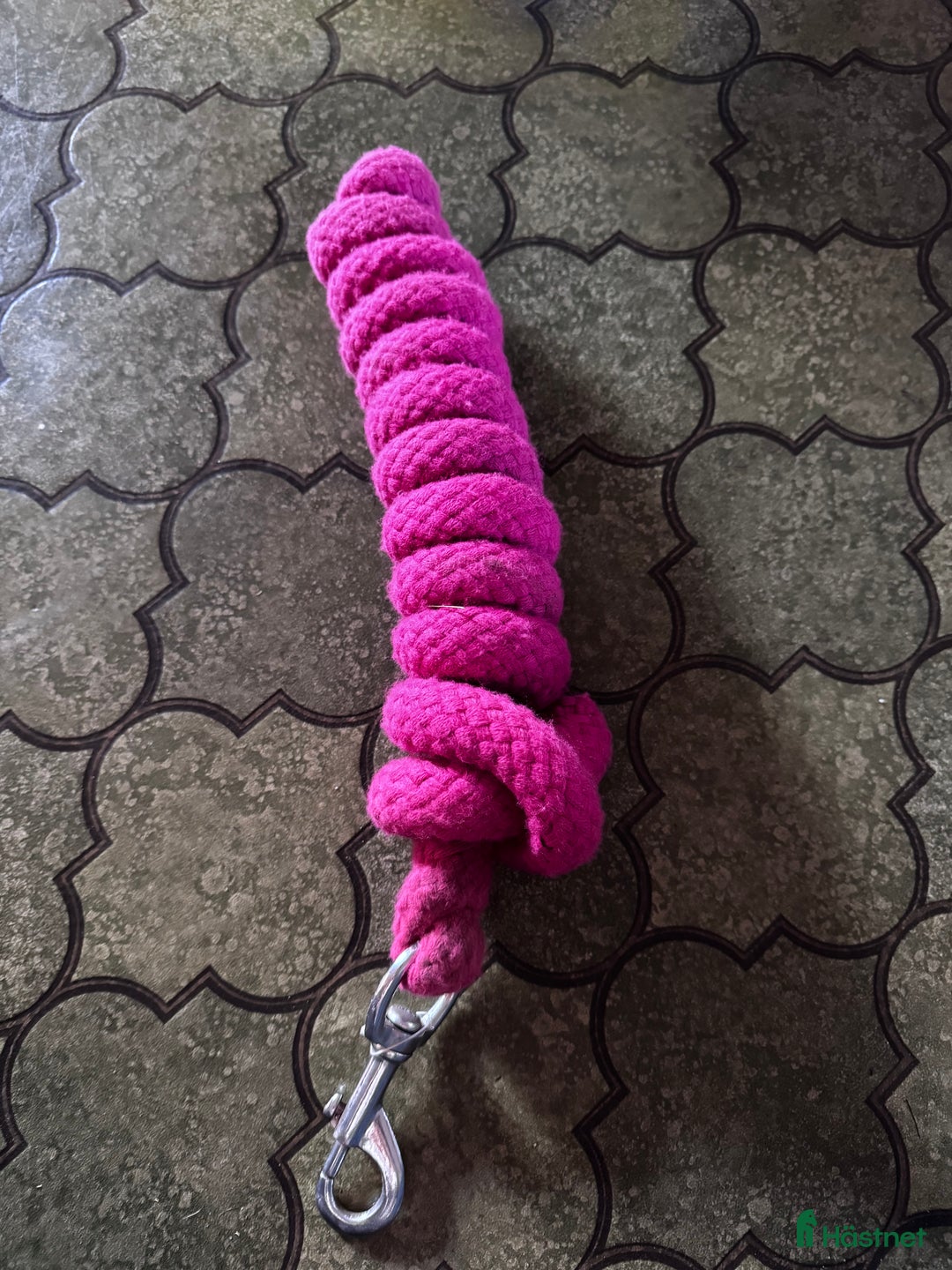 Övrig Hästutrustning hästutrustning till salu: Hästutrustning  i Kalmar - Annons 14