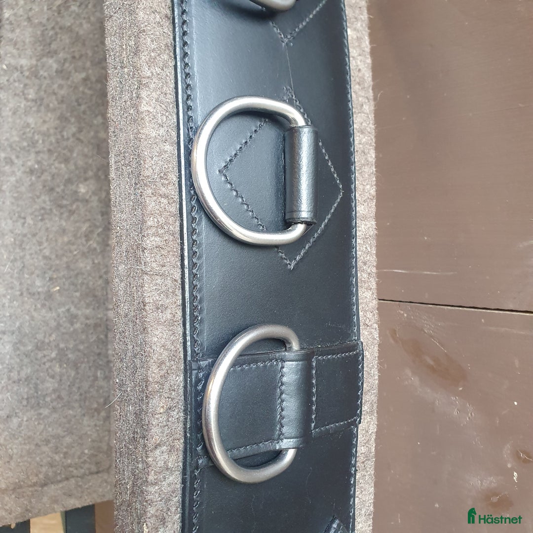 Övrig Hästutrustning hästutrustning till salu: Tömkörningsgjord med båge storlek Full i Tranås - Annons 5