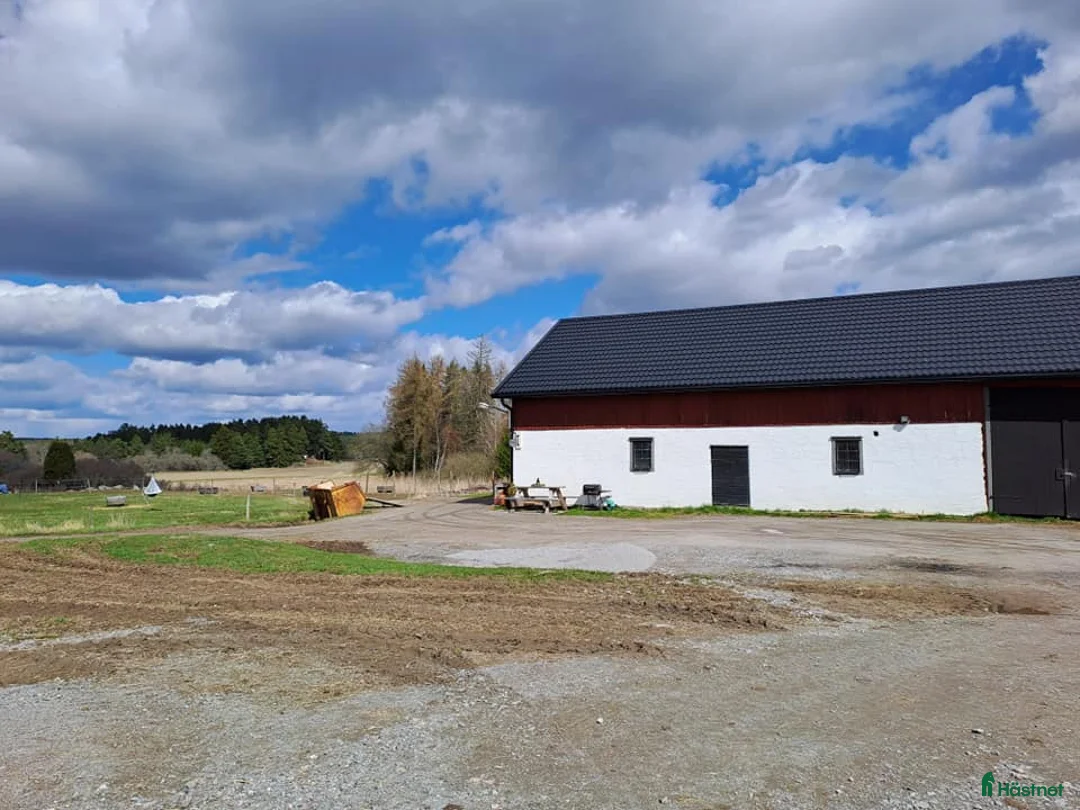  stallplats finnes: Lösdrift Häst - ung som gammal - blandflock i Bro - Annons 14