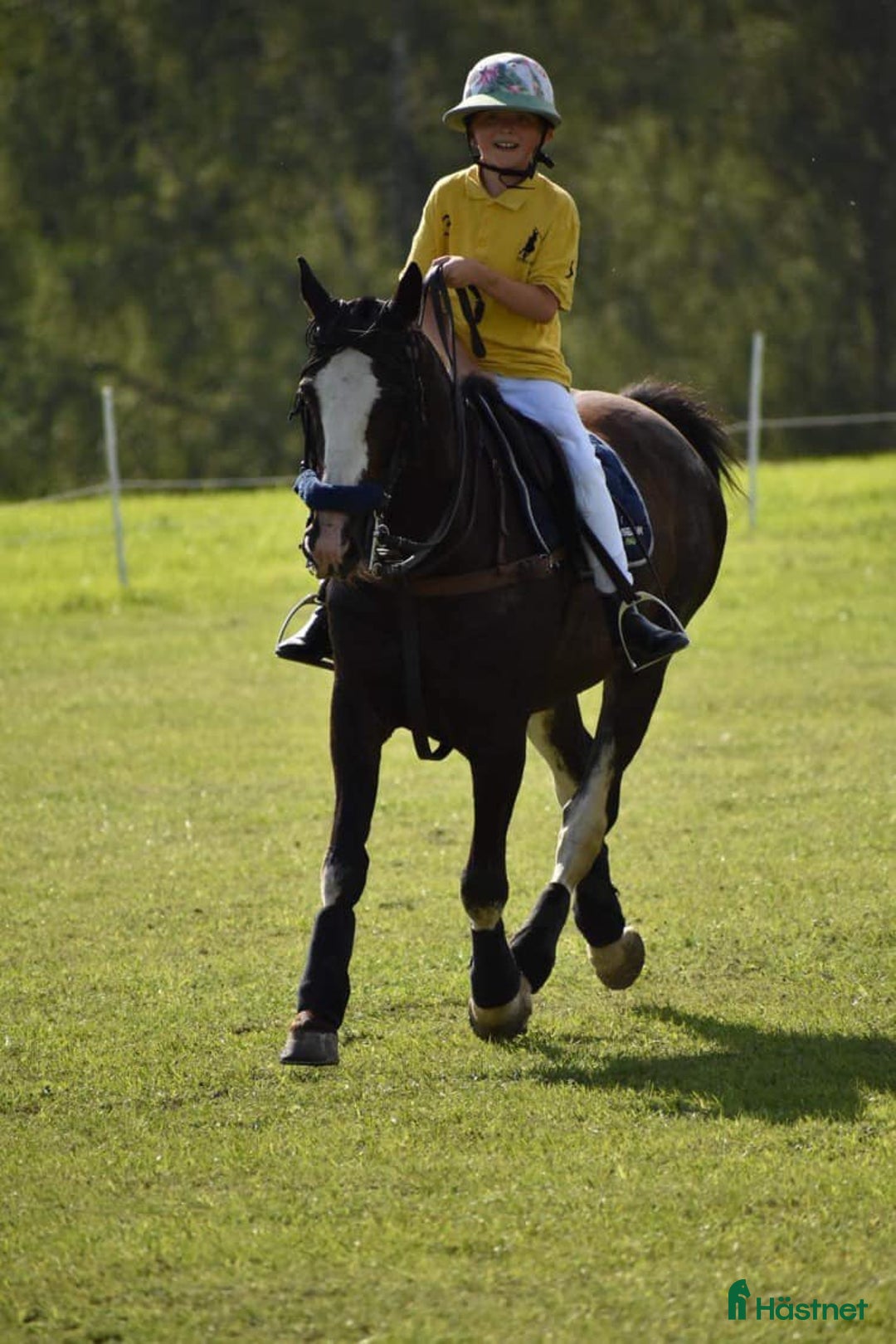 Allround hästar till salu: Underbar Allround Ponny! i Sjöbo - Annons 3