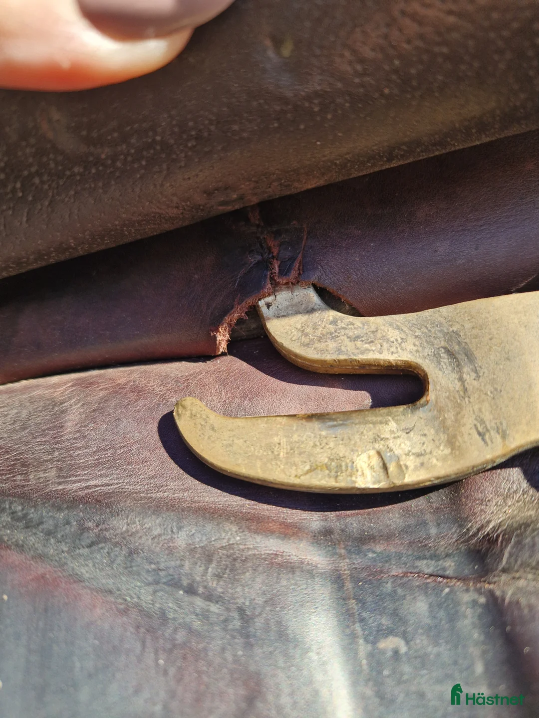 Sadlar hästutrustning till salu: Equipe Oracle - Annons 10