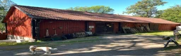  stallplats finnes: Lösdrift för valack 10 min från Södermalm  i Skarpnäck - Annons 7