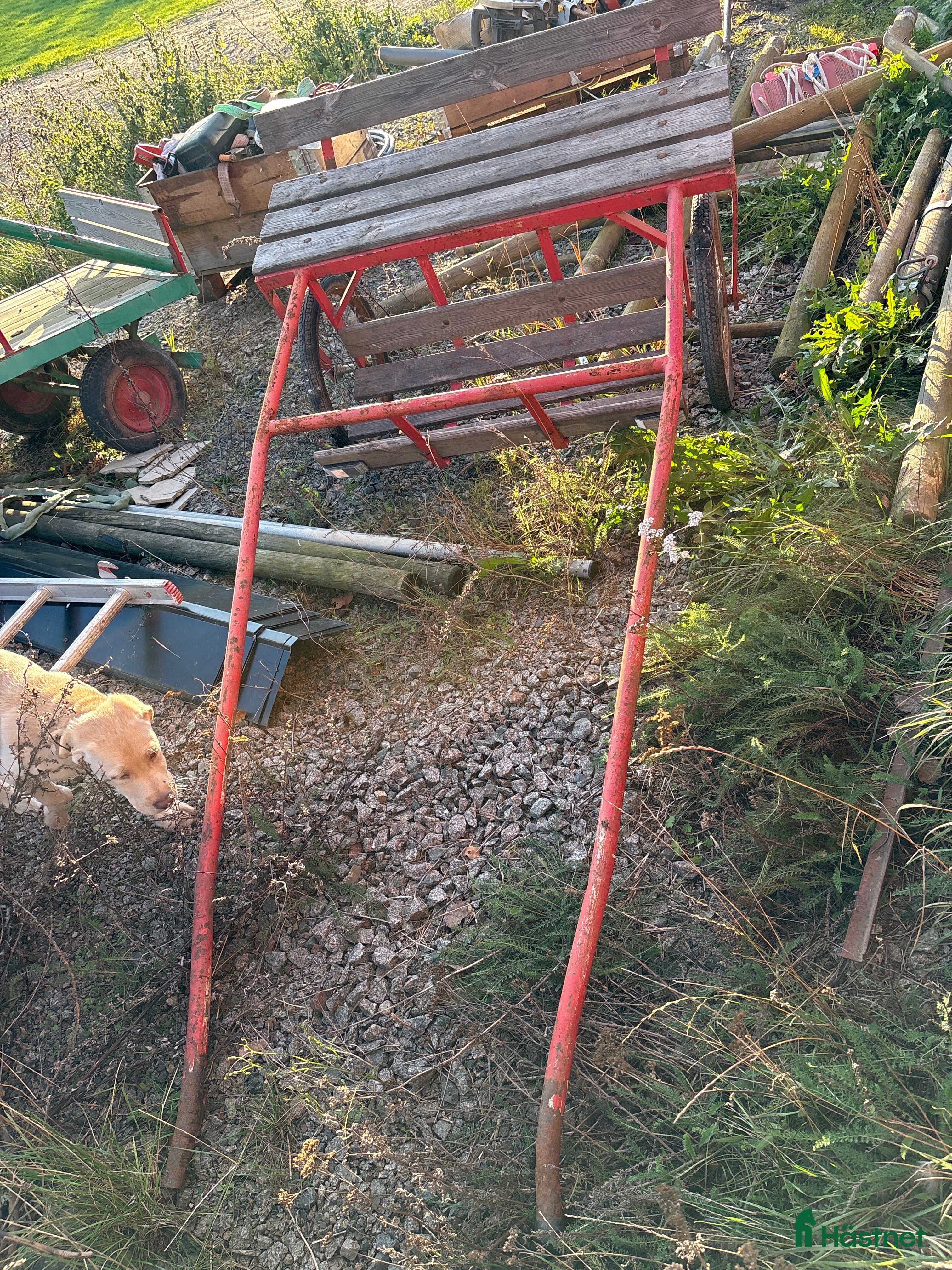 Körsulkys körning till salu: Sulky i Gränna - Annons 20