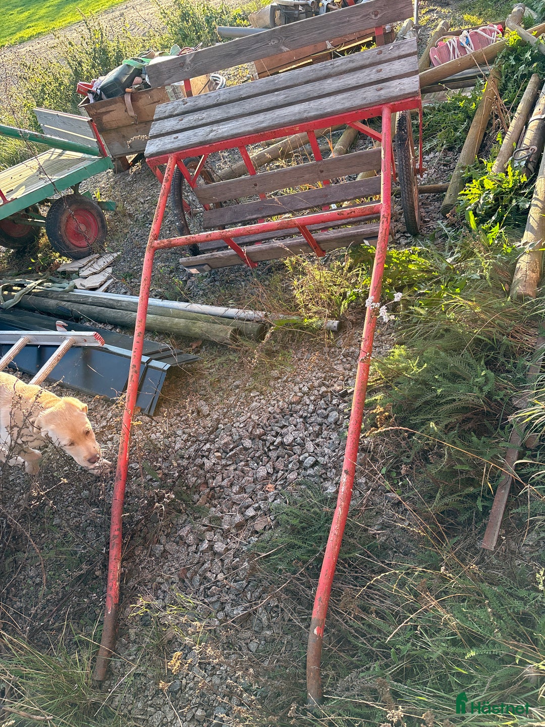 Körsulkys körning till salu: Sulky i Gränna - Annons 1