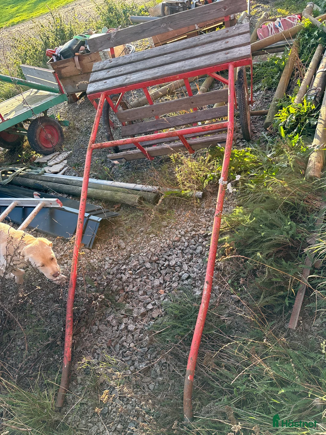 Körsulkys körning till salu: Sulky i Gränna - Annons 1