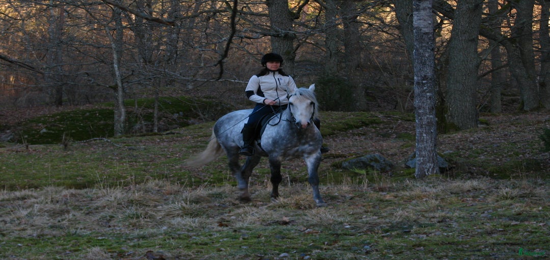 Galleribild {{count}}