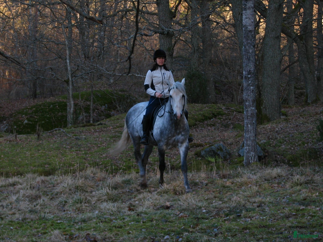 Galleribild {{count}}