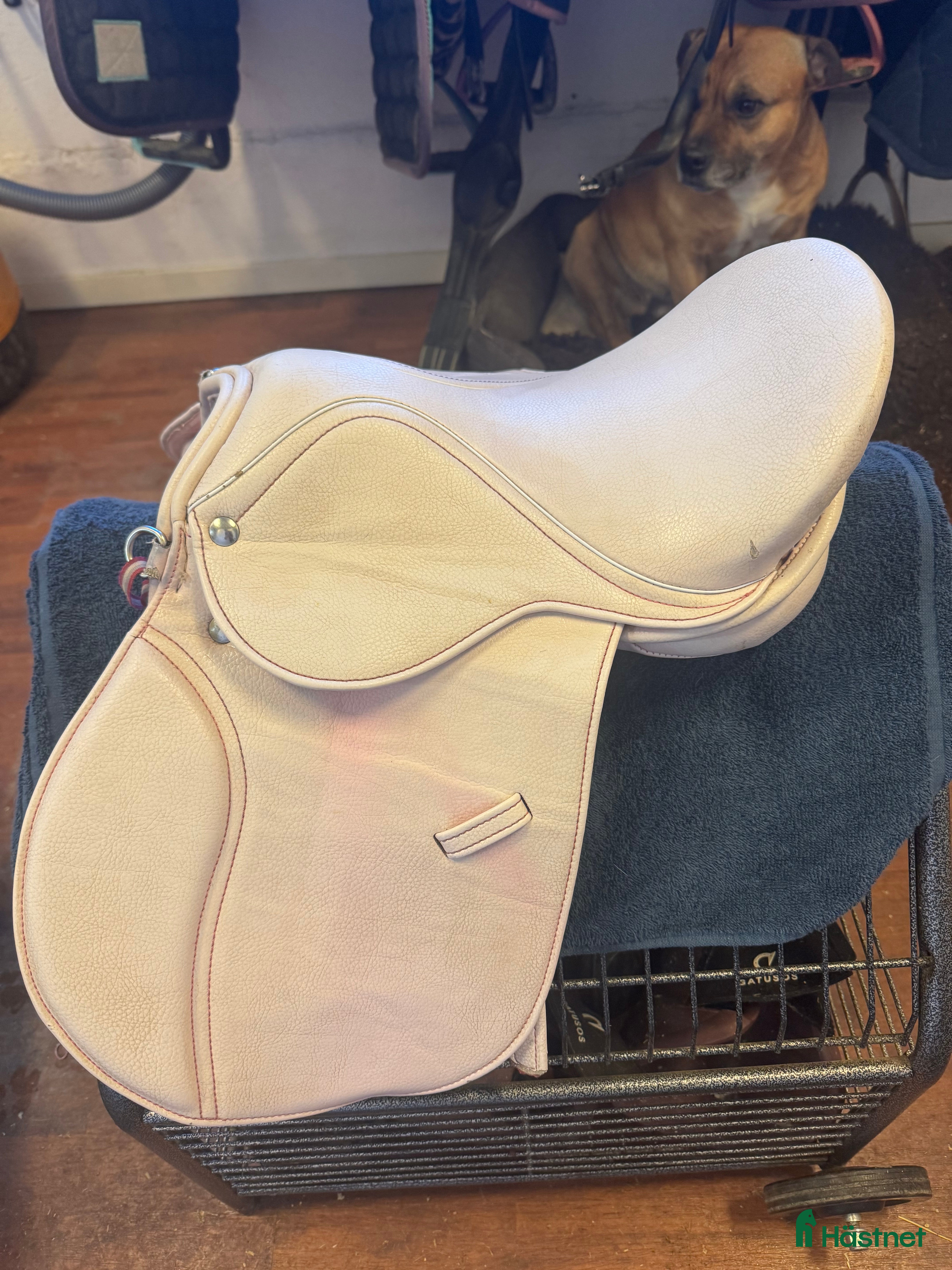 Sadlar hästutrustning Ponnysadel  - Annons 14