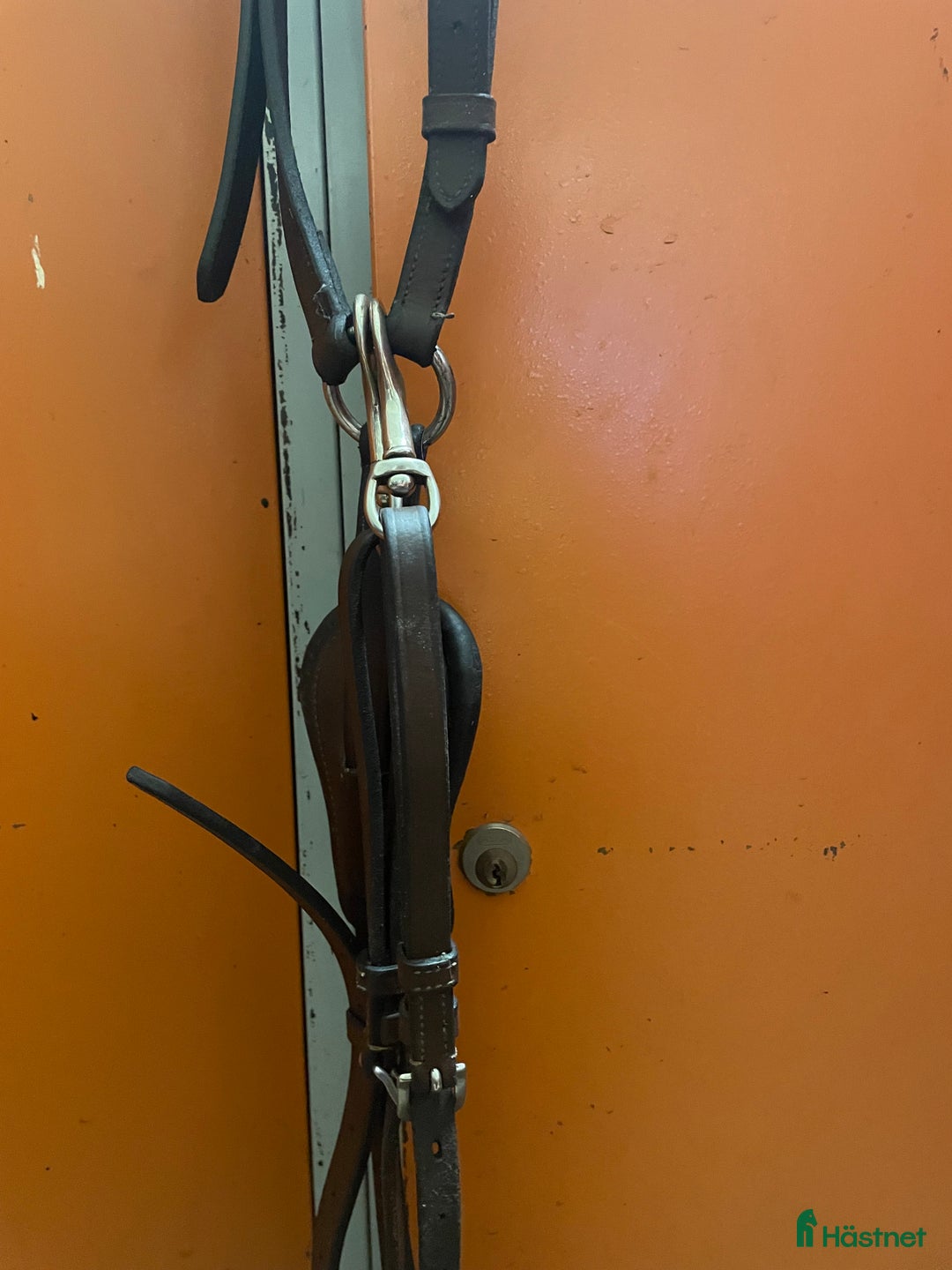 Sadeltillbehör hästutrustning till salu: Equiline martingal  i Flyinge - Annons 2