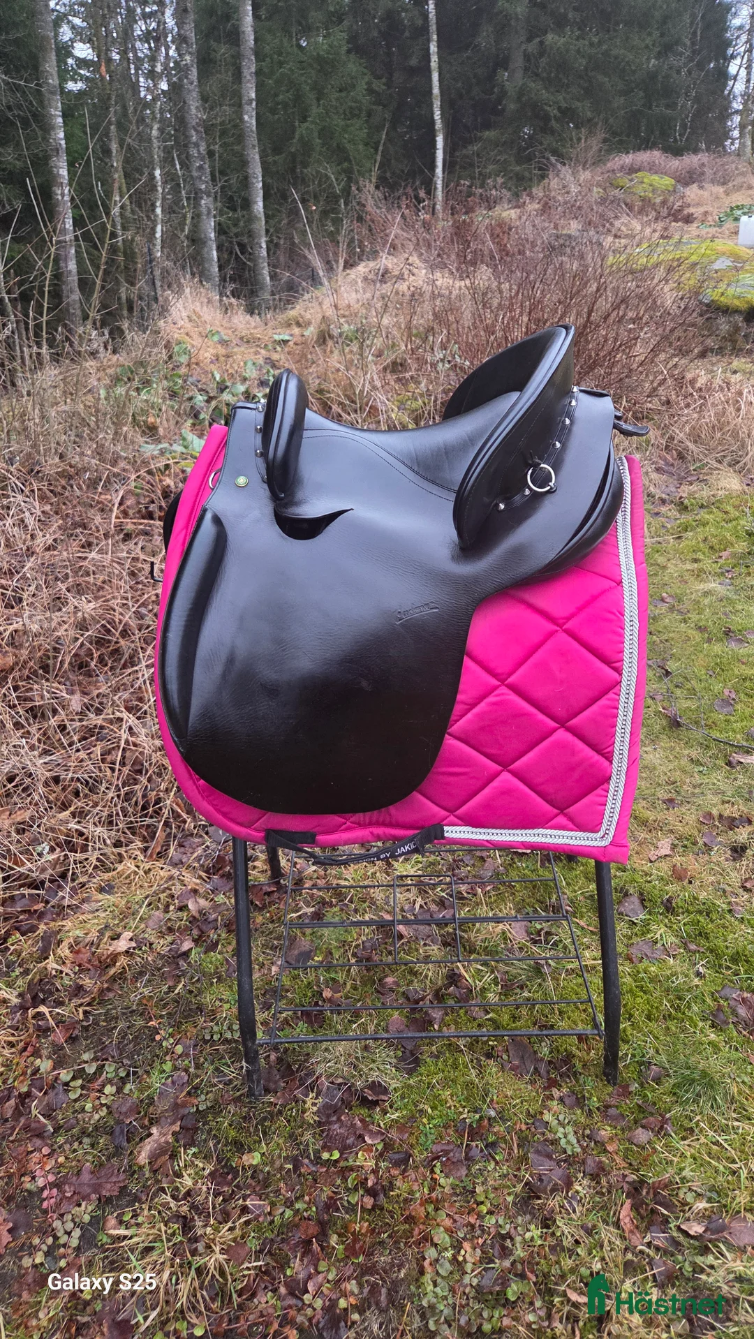 Sadlar hästutrustning till salu: Underbar Ludomar  - Annons 1