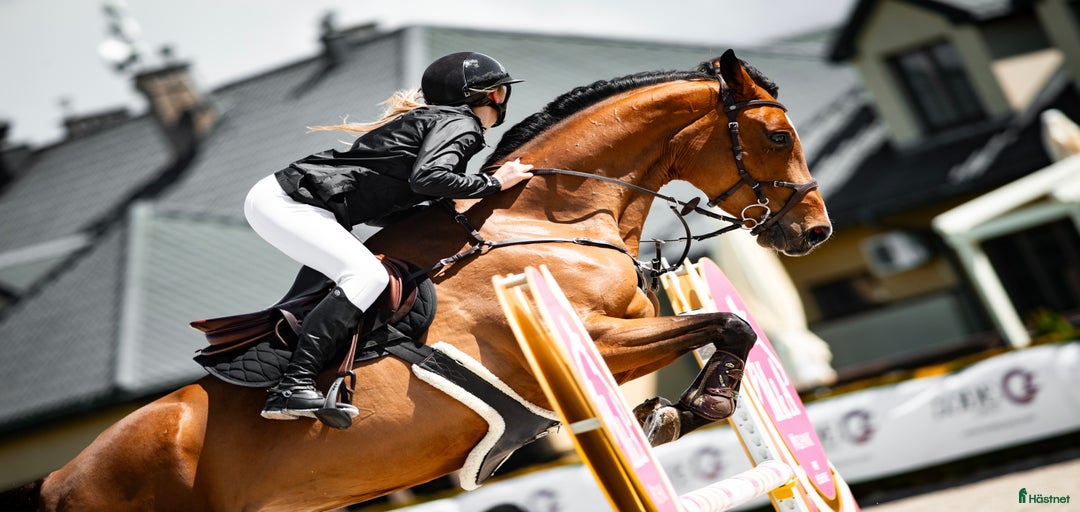 Galleribild {{count}}