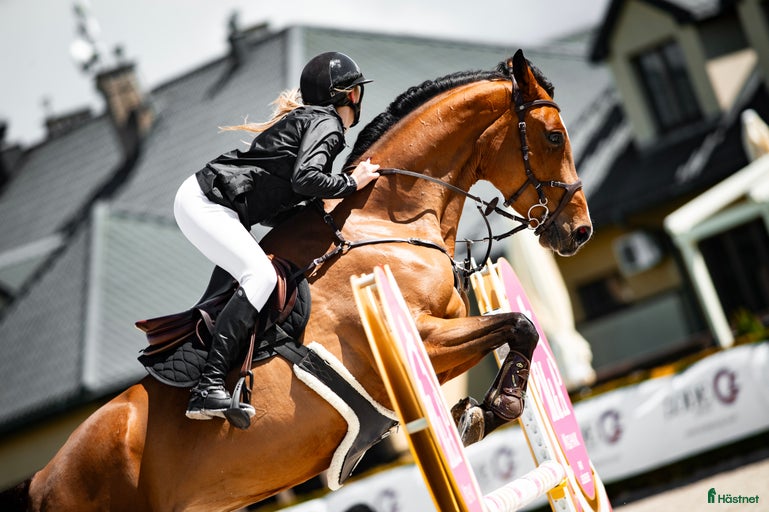 Galleribild {{count}}