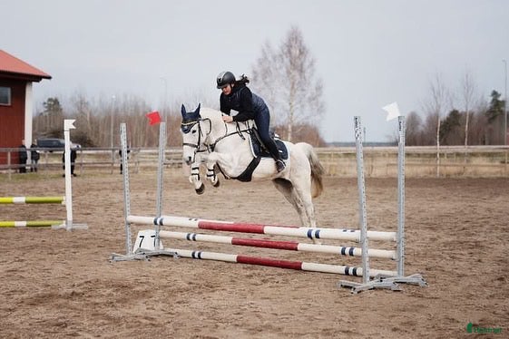  hästar Hoppglad tjej med egen motor i Hova - Annons 13